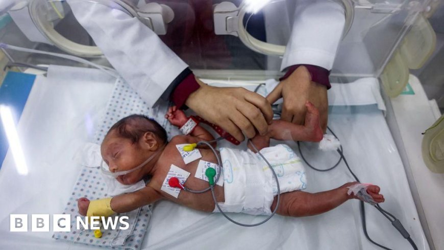 Six babies have died from cold in Gaza over two weeks, medics say