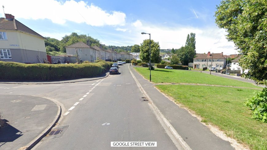 Woman, 19, dies in dog attack in Bristol - two people arrested