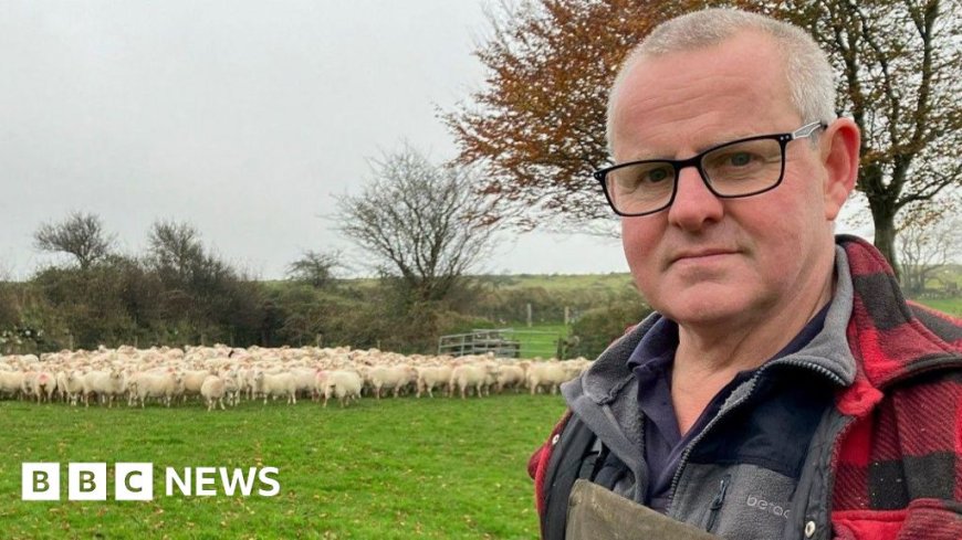 'I've lost 4,500 sheep to thieves on Dartmoor'