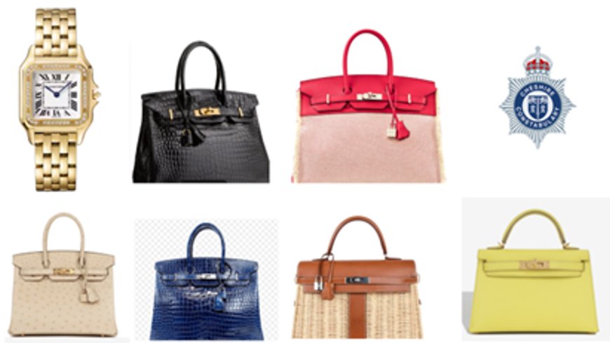 Over 100 designer handbags stolen in burglary