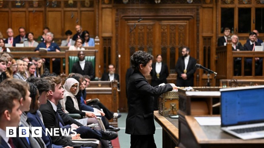 Schooboy, 10, becomes youngest to make speech in Commons