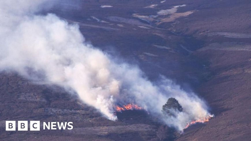 Risk of wildfires 'very high' in parts of Scotland