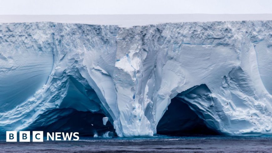 World's largest iceberg runs aground off remote island