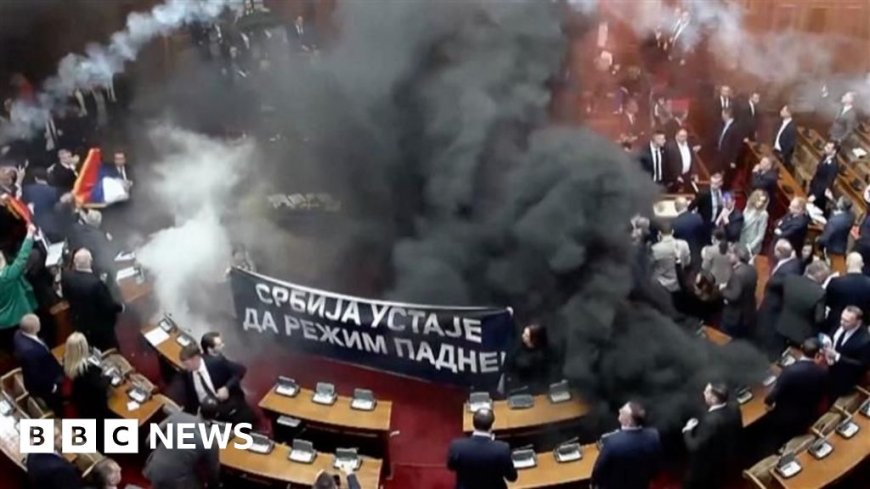 Watch: Chaos as MPs throw smoke grenades in Serbian Parliament