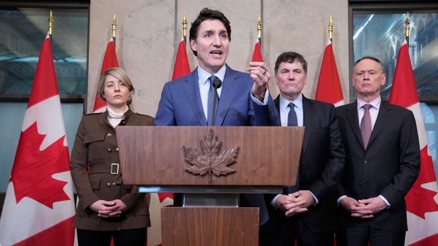 'Dumb': Canadian PM criticises Trump over tariffs - and sends bold message to Americans