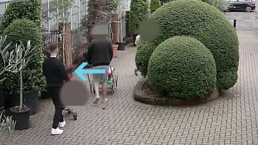 CCTV shows triple killer visiting garden centre before murders