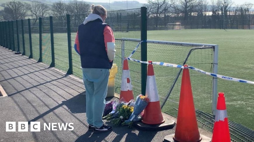 Sports pitch car crash victim is girl, 10, police say