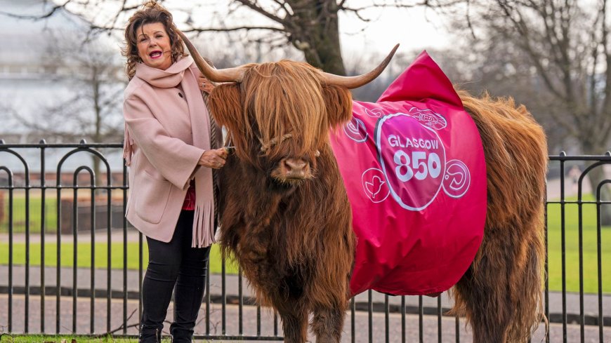 Comedian grazes cows on Glasgow Green to mark receiving city's highest honour