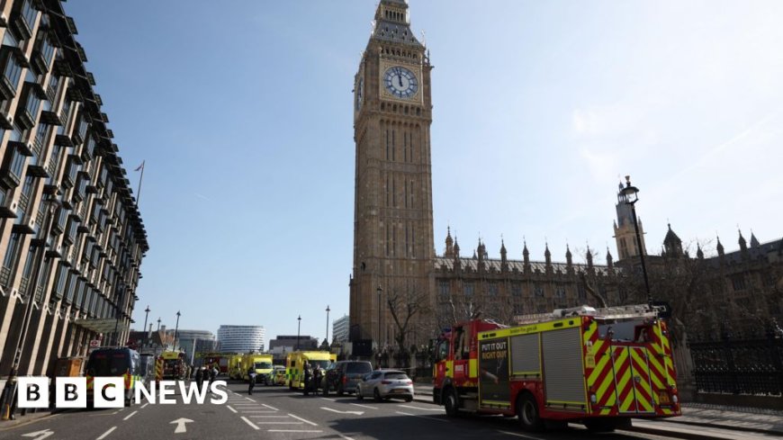 Man arrested after climbing Palace of Westminster