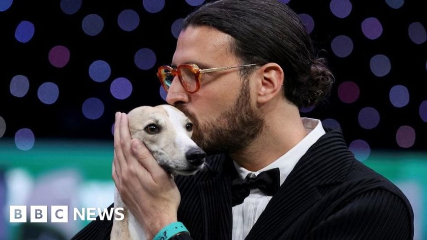 Whippet called Miuccia wins best in show at Crufts