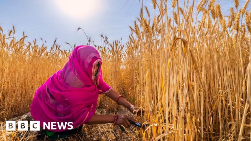 Early summer could spell trouble for India's farms and factories