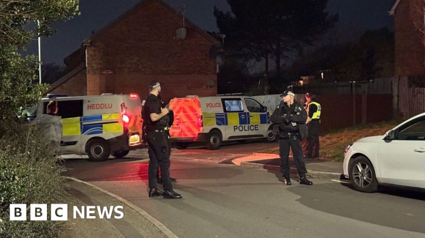 Woman, 40, shot dead in Talbot Green