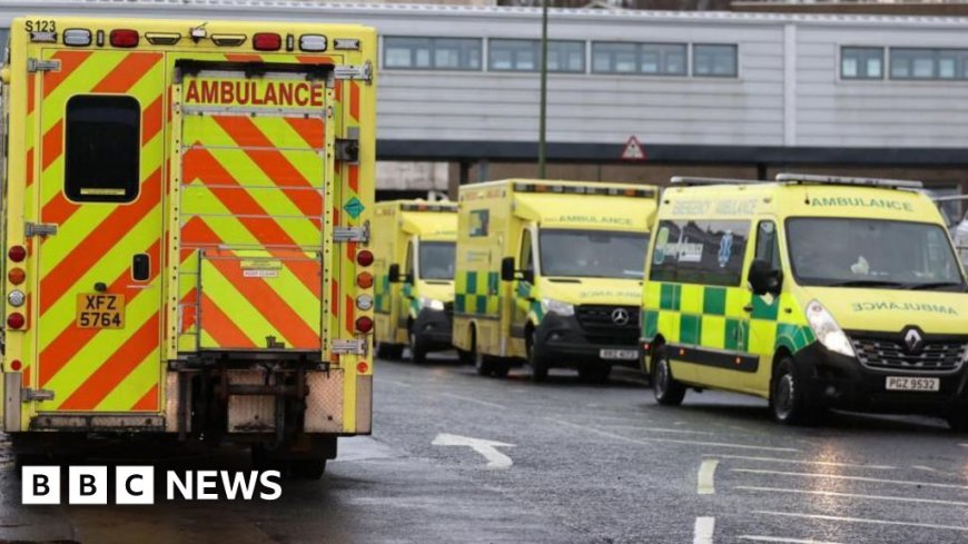 Patients 'at risk of harm' over ambulance handover delays