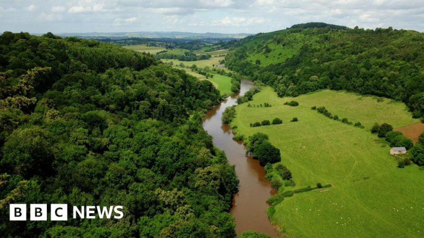 River Wye pollution to be investigated by governments