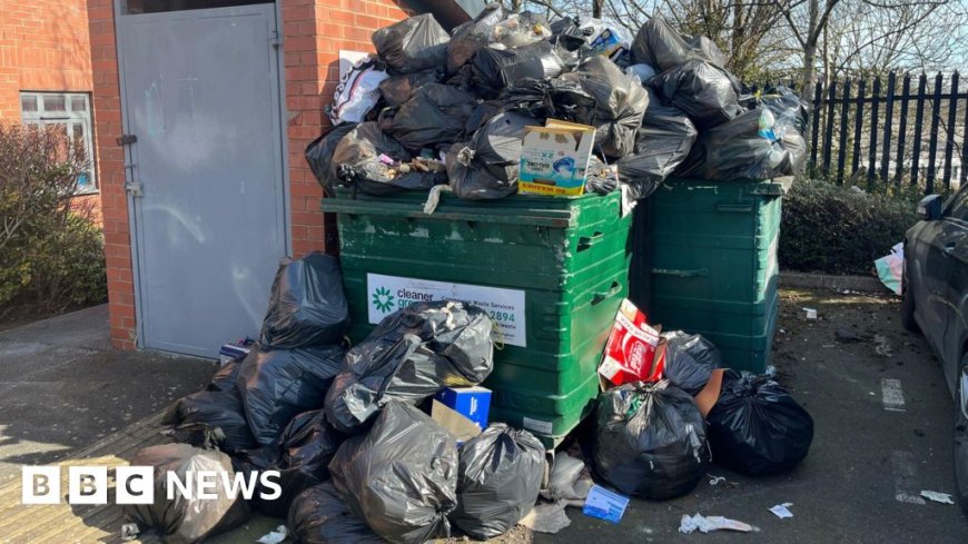 'The rubbish is alive' - rats feast as Birmingham bin workers strike