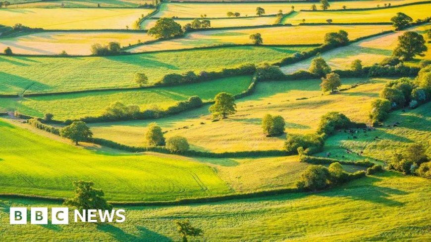 Green scheme closure a 'shattering blow' to farms, says union