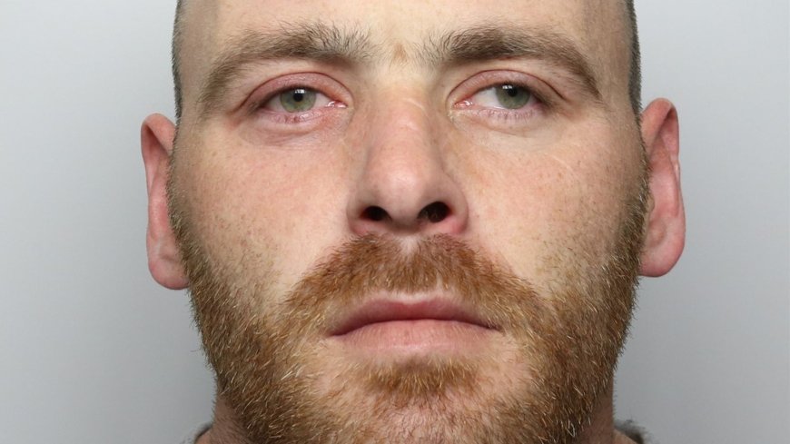 Thief who drove off as Amazon driver tried to hold on to van found guilty of his murder