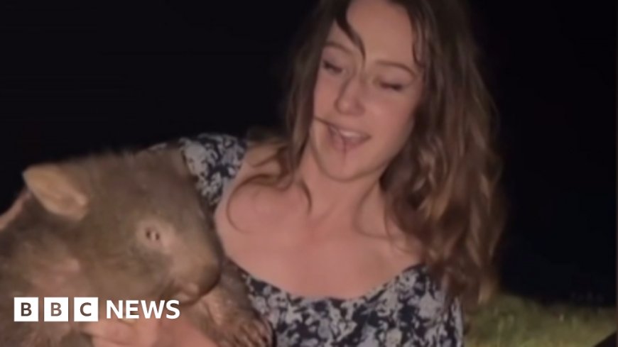 US influencer who snatched baby wombat has left Australia