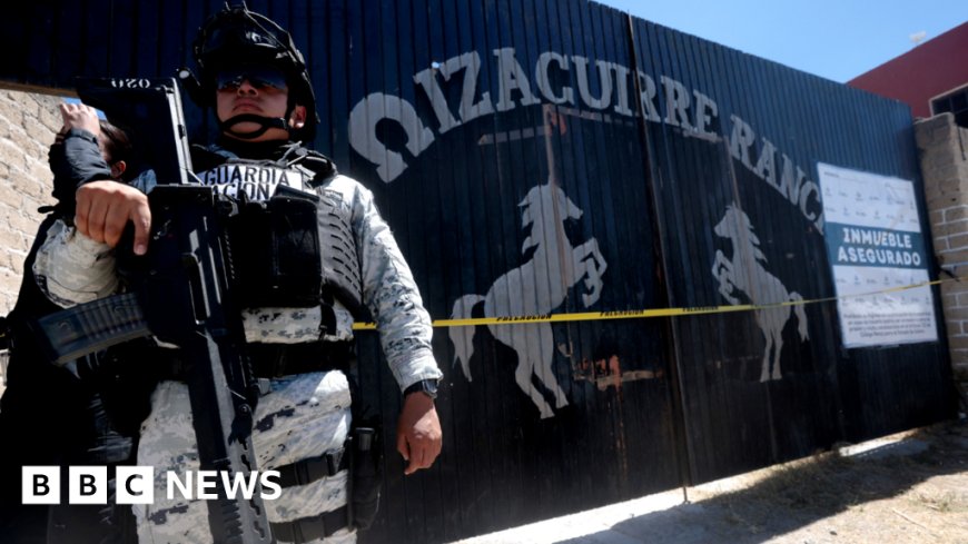 Ovens and bone fragments - BBC visits Mexican cartel 'extermination' site